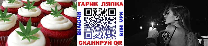 где купить наркоту  Терек  Cannafood марихуана 