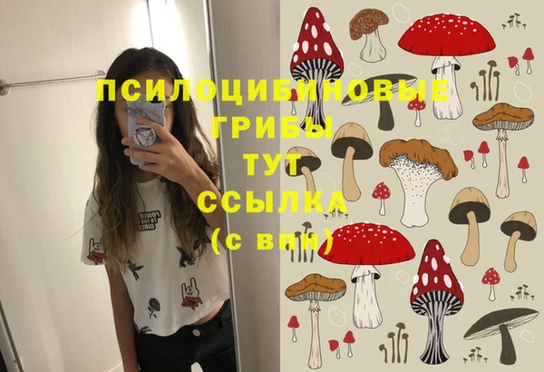гидропоника Каменногорск