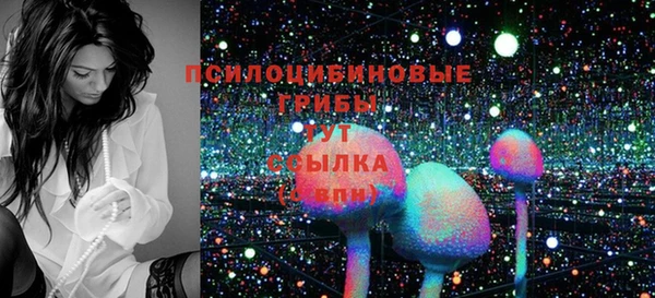 метамфетамин Каменка
