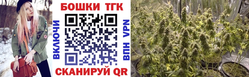МАРИХУАНА THC 21%  наркошоп  Терек 